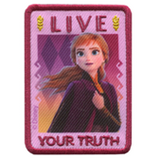 Applicazioni Termoadesive FROZEN 2 3493-04